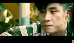 超级强盗在线观看,在线观看，揭秘犯罪帝国风云